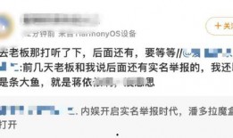 明星补税爆料视频大全集,明星补税爆料视频大全集深度解析