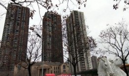 西安最新楼盘爆料,揭秘最新爆款楼盘，投资与自住两相宜