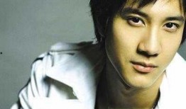 王力宏爆料狗仔视频播放,隐私权引发社会关注