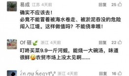 新闻爆料讲解视频下载,新闻爆料背后的下载生成奥秘