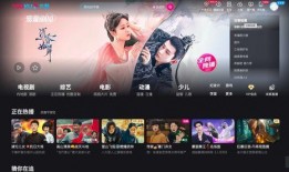 优酷爆料恋情视频大全,明星恋情视频大盘点