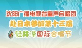 沈阳新闻广播爆料,重大事件引发社会关注
