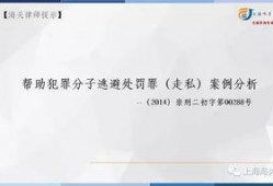 罚罪最新爆料案例分析,揭秘案件背后惊人真相