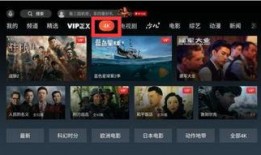 队长爆料最新视频播放器,最新视频播放器震撼来袭，带你领略全新观影体验！