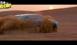 最新沙漠爆料视频大全