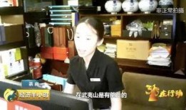 茶叶爆料视频大全集最新,揭秘茶叶界的秘密与传奇