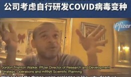 卧底爆料美国辉瑞视频,辉瑞疫苗内幕曝光，真相令人震惊！
