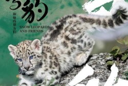 雪豹影院在线观看