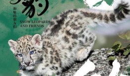 雪豹影院在线观看