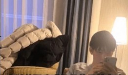 两任前女友爆料视频大全,真相与争议交织的娱乐圈风云录”