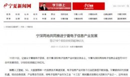 宁夏新闻爆料平台电话查询,揭秘背后真相