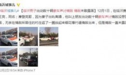 临沂男子爆料事件视频最新,惊人真相曝光，引发社会热议