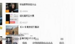 爆料老历的视频在线观看,在线观看背后的精彩瞬间