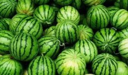 最新吃瓜群免费加入,最新吃瓜群免费加入，畅享娱乐圈最新资讯！