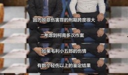 网红律师爆料视频,视频爆料背后的惊人真相