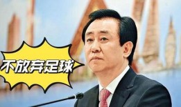 林先生最新消息爆料视频,揭秘最新视频背后的惊人真相