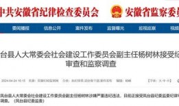 爆料大皖新闻最新消息,最新爆料揭示惊人内幕