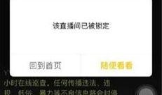 二哥爆料视频在线观看免费,免费在线观看背后的真相