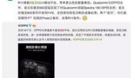 内鬼爆料出错视频,揭秘视频背后的惊人真相