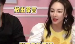 辛巴爆料完整版视频,事件真相与背后故事深度剖析